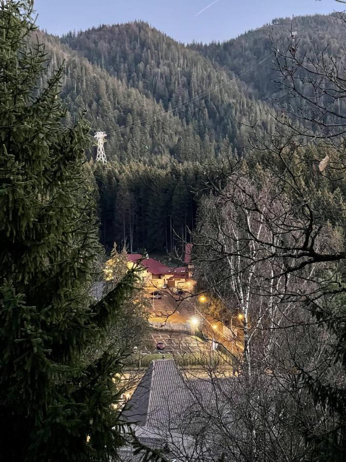 Vila Condor Poiana Brasov Ngoại thất bức ảnh
