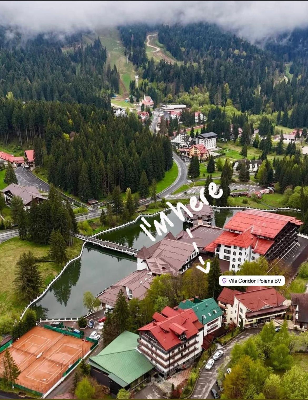 Vila Condor Poiana Brasov Ngoại thất bức ảnh