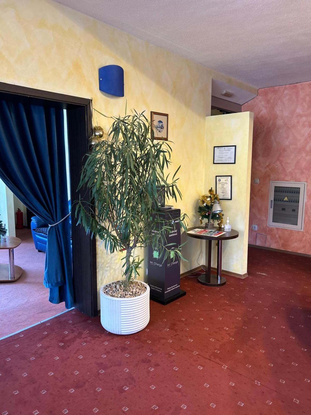 Vila Condor Poiana Brasov Ngoại thất bức ảnh